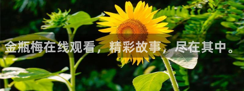 污漫漫画之家